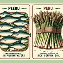 Generate an image showcasing two leading exports from Peru, which are fish known for its abundance in Peruvian waters and asparagus cultivated in the rich Peruvian soil. Display a focus on a variety of fish species often caught in Peru's waters, along with bundles of asparagus plants. Make sure to give the image an appealing and educational vibe without any text.